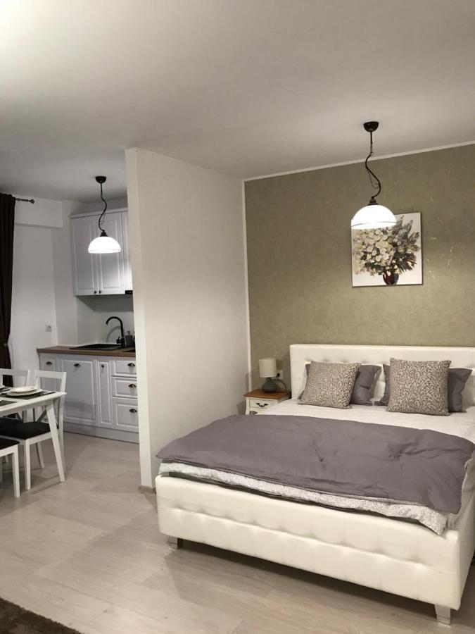 White Season Residence Brasov Bagian luar foto
