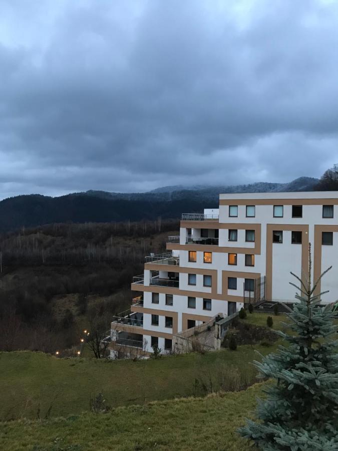White Season Residence Brasov Bagian luar foto